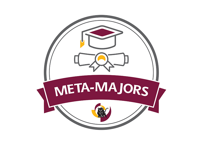 Meta-Majors logo
